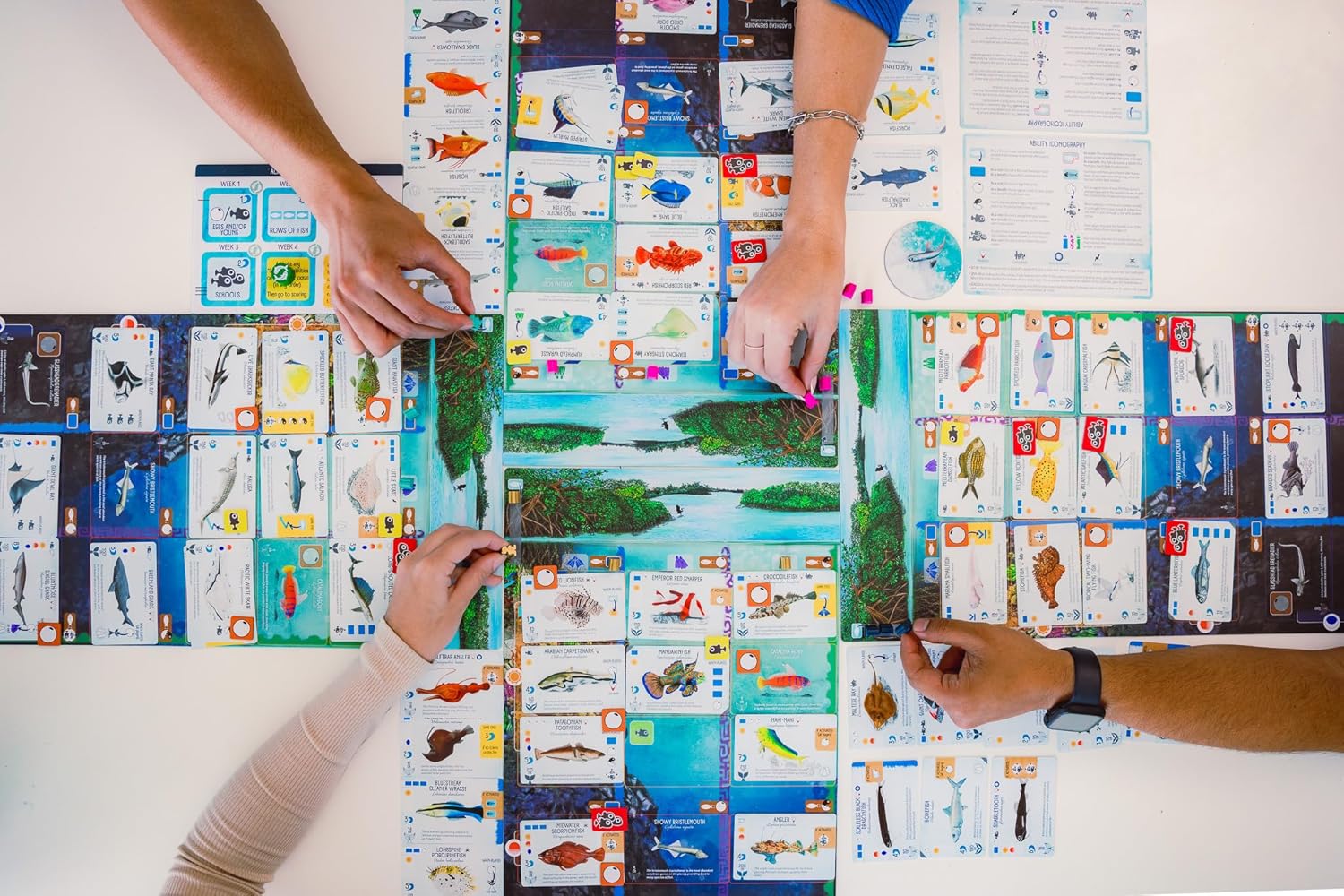 Finspan Board game - WiredVillage Games - Stonemaier Games