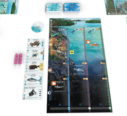 Finspan Board game - WiredVillage Games - Stonemaier Games