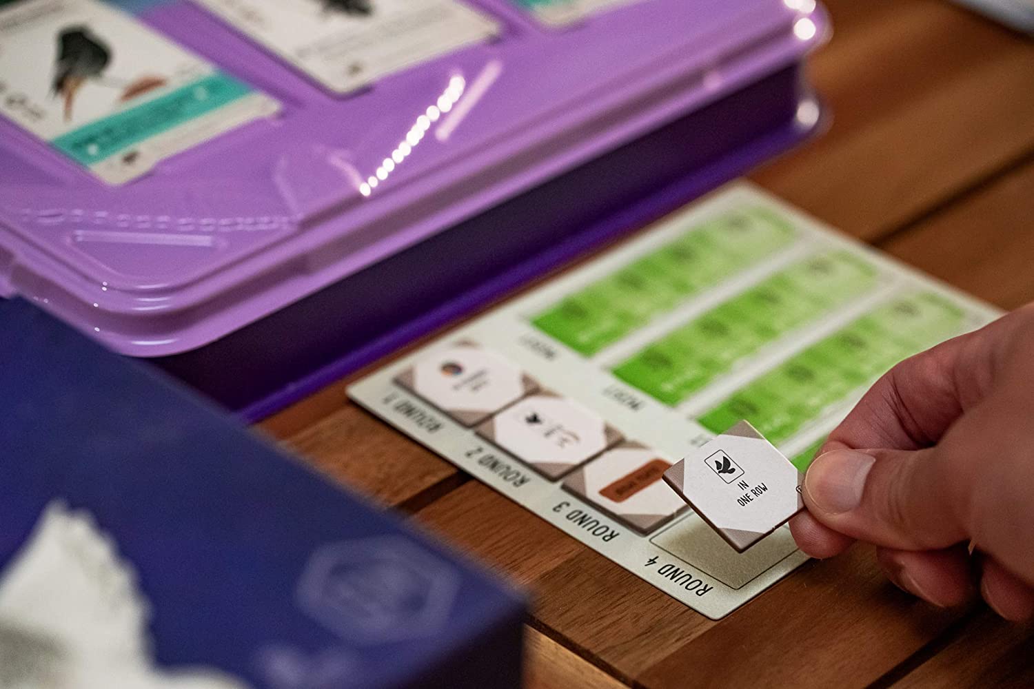 Wingspan European Expansion Board Game - WiredVillage Games - Stonemaier Games