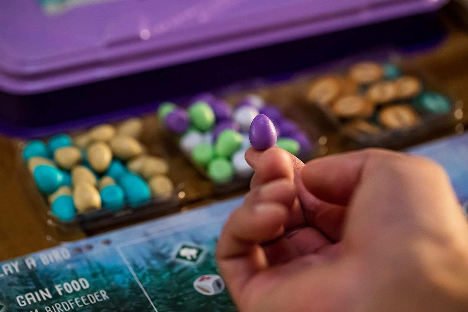 Wingspan European Expansion Board Game - WiredVillage Games - Stonemaier Games